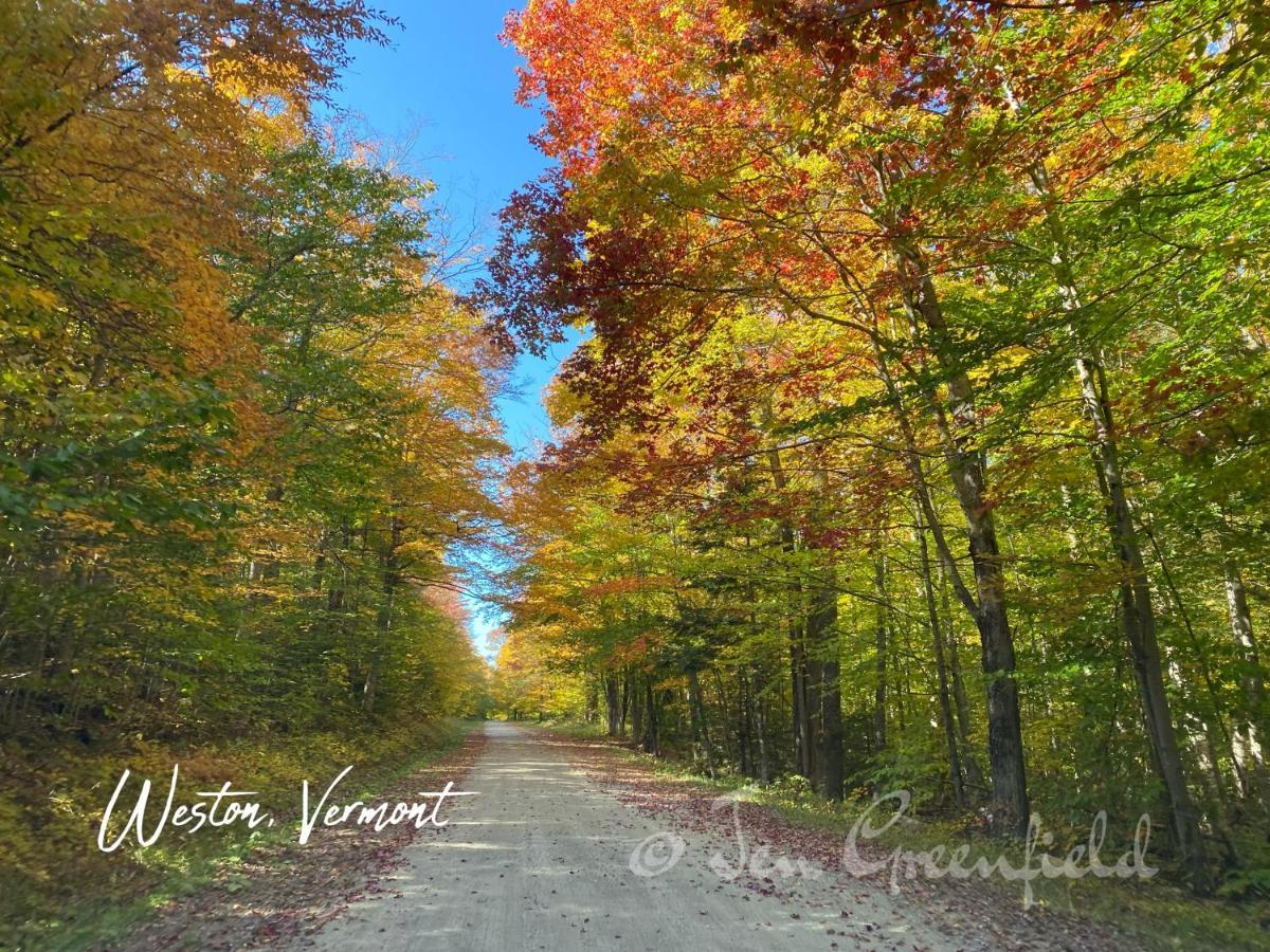 Snowdon Chalet Motel Londonderry المظهر الخارجي الصورة