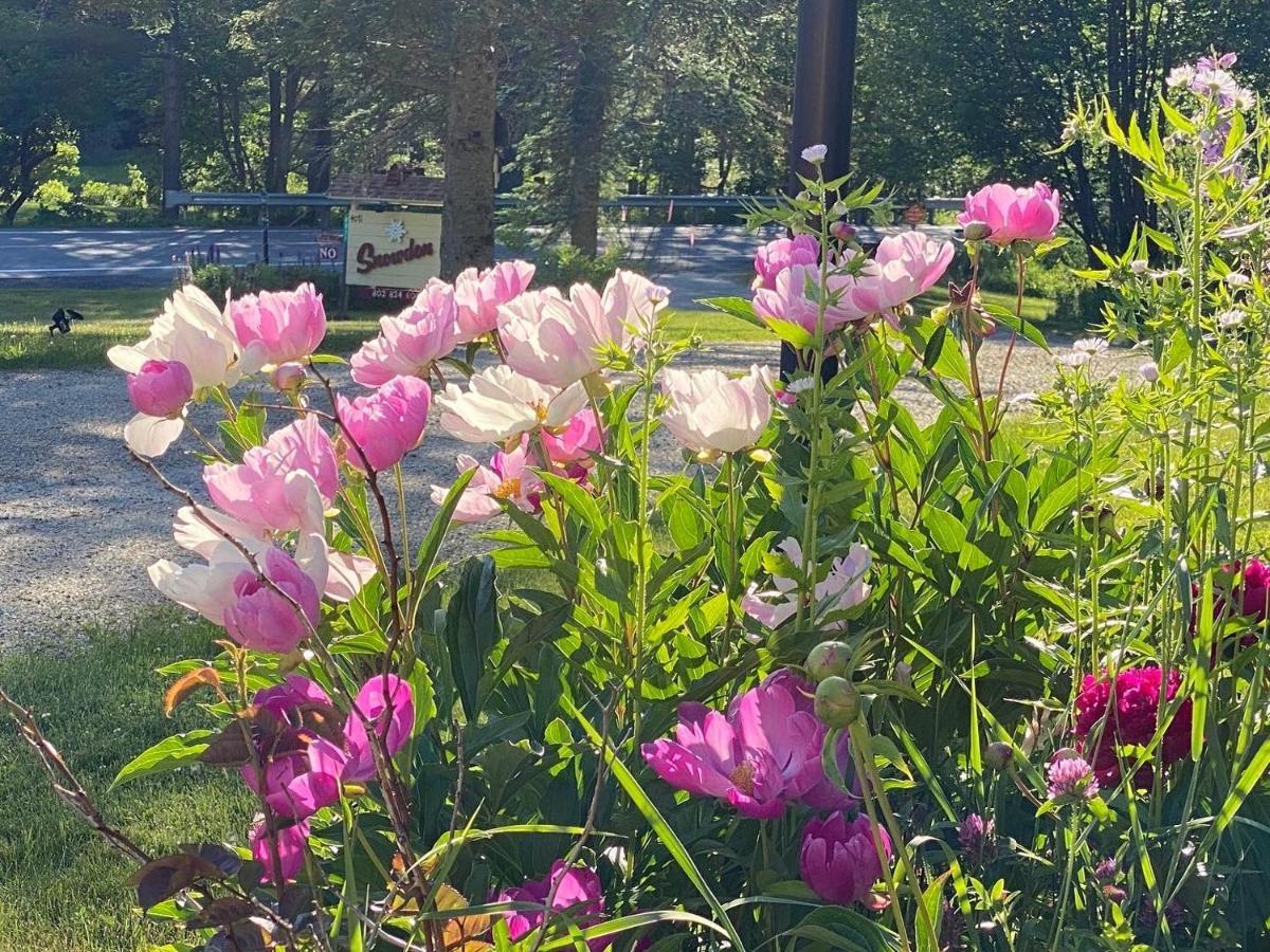Snowdon Chalet Motel Londonderry المظهر الخارجي الصورة